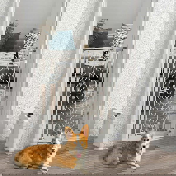 D06-213V00WT