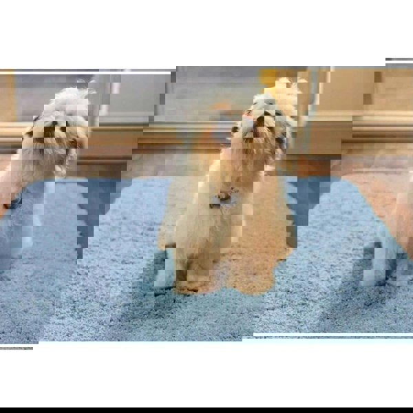 The Rugs Washable Denim Blue Shaggy Rug | Soft & Durable