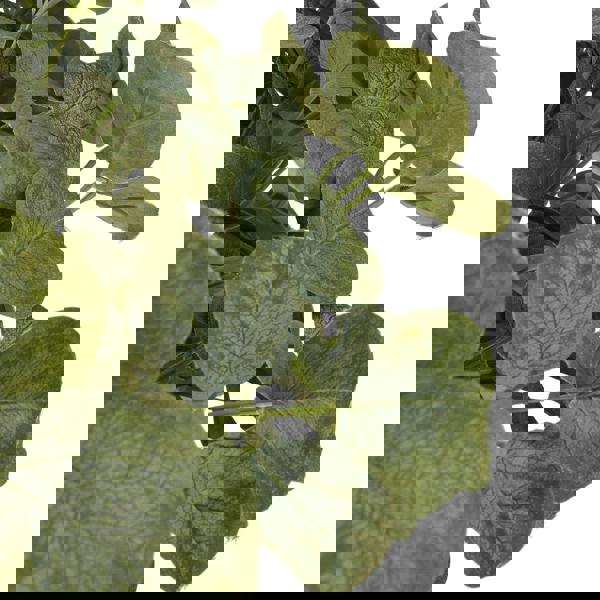 Hill Interiors Eucalyptus Artificial Flower - Green - 