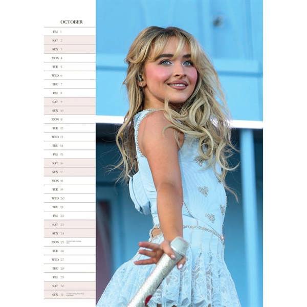 Sabrina Carpenter A3 Calendar 2027, Wall Calendars, Month To View, Entertainment, Gift