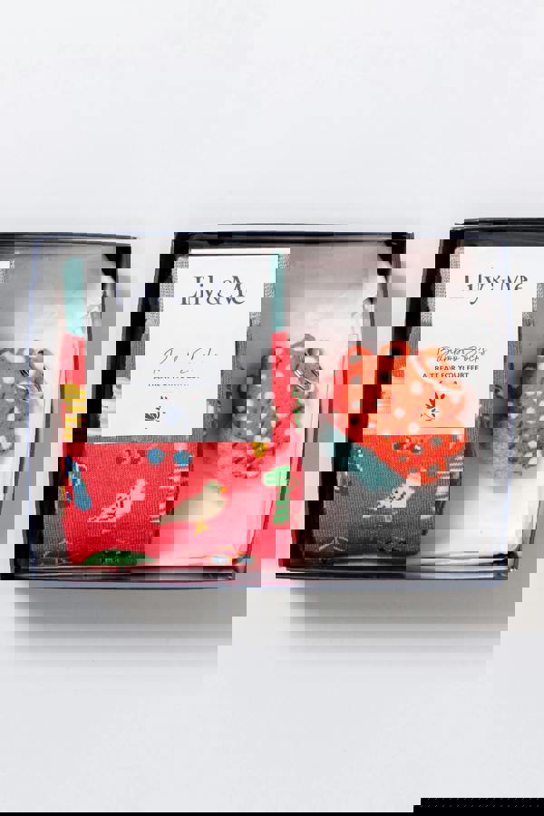 Lily & Me At The Beach Socks And Shell Keyring Giftbox