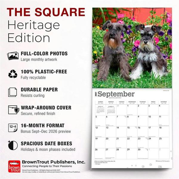Miniature Schnauzers Calendar 2027, Wall Calendars, Month To View, Dogs, Gift