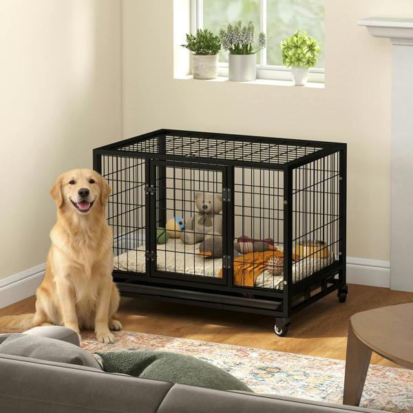 Dog Cage