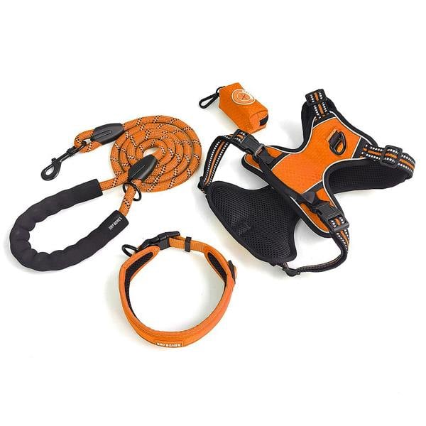 DRYBONES Dog Collar