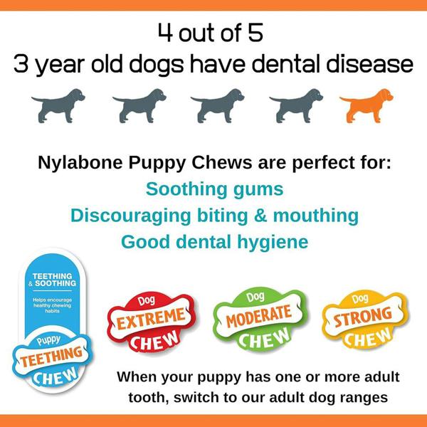 Nylabone Puppy Starter Kit, Pack of 3 Chew Bones, Teething & Dental, Small