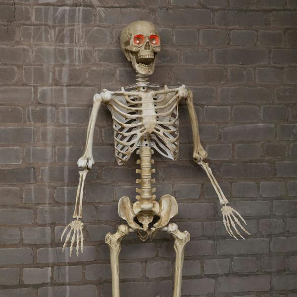 Samuel Alexander 5ft (1.5m) Battery Powered Light up Halloween Skeleton with Poseable Joints & Red LEDs
