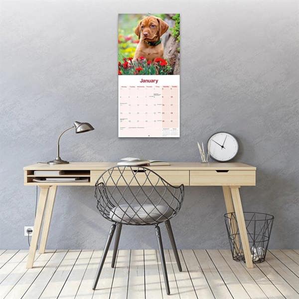 Vizsla Calendar 2027, Wall Calendars, Month To View, Dogs, Gift