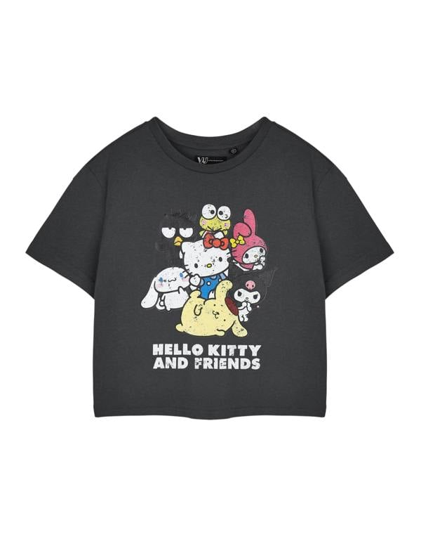 Hello Kitty Womens Grey Hello Kitty & Friends Cropped Short Sleeved T-Shirt