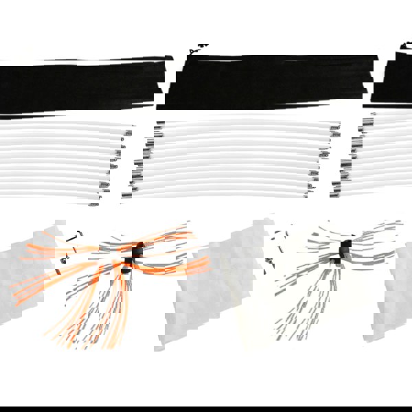 MAXBLAST Powered Chimney Sweep 12m