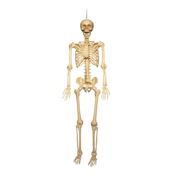 Samuel Alexander 5ft (150cm) Posable Full Body Halloween LED Skeleton Decoration with Movable Joints and LED Eyes