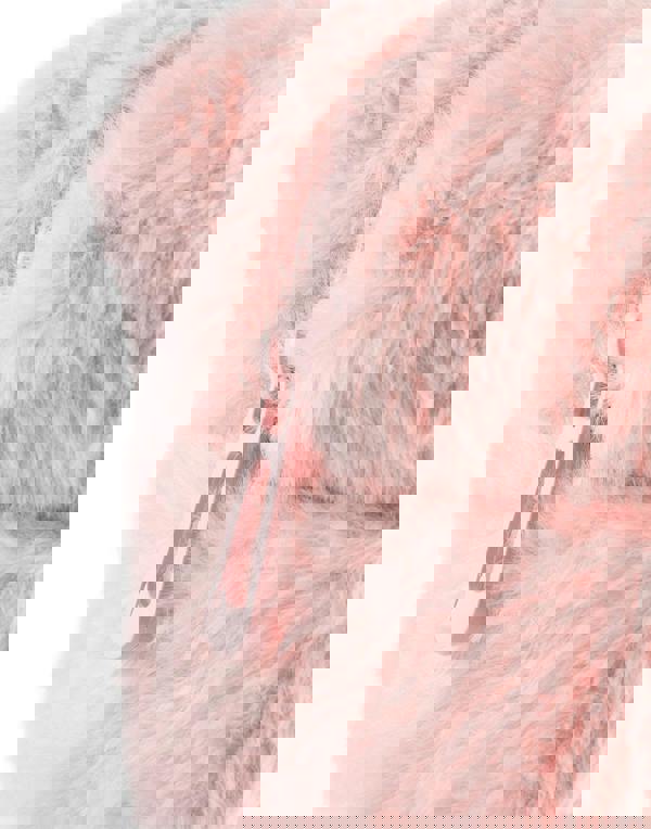 Barbie Womens Pink Furry Makeup Bag (One Size)