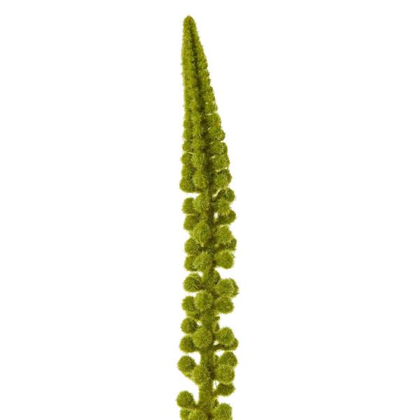 Wyld Haus Set of 3 Artificial Flowers Green Eremurus Stems