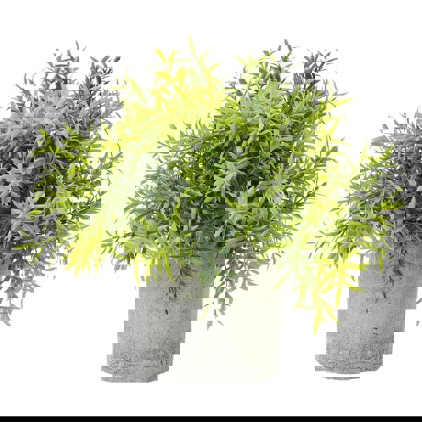 Hill Interiors Bamboo Artificial Plant - Green