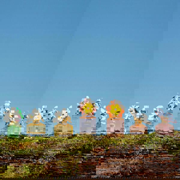 Marc Jacobs Daisy Ever So Fresh Eau de Parfum 125ml - Additional 4