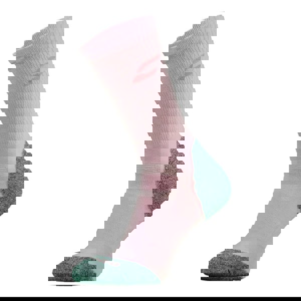 t4option1_5