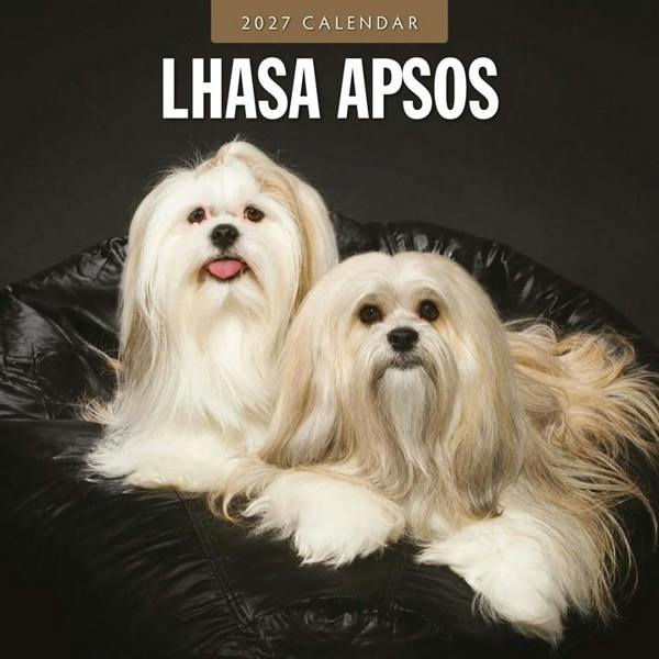 Lhasa Apsos Calendar 2027, Wall Calendars, Month To View, Dogs, Gift