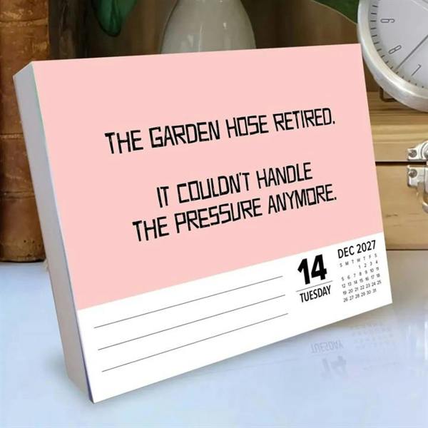 Bad Dad Jokes Desk Calendar 2027, Desk Calendars, Day To View, Humour, Gift