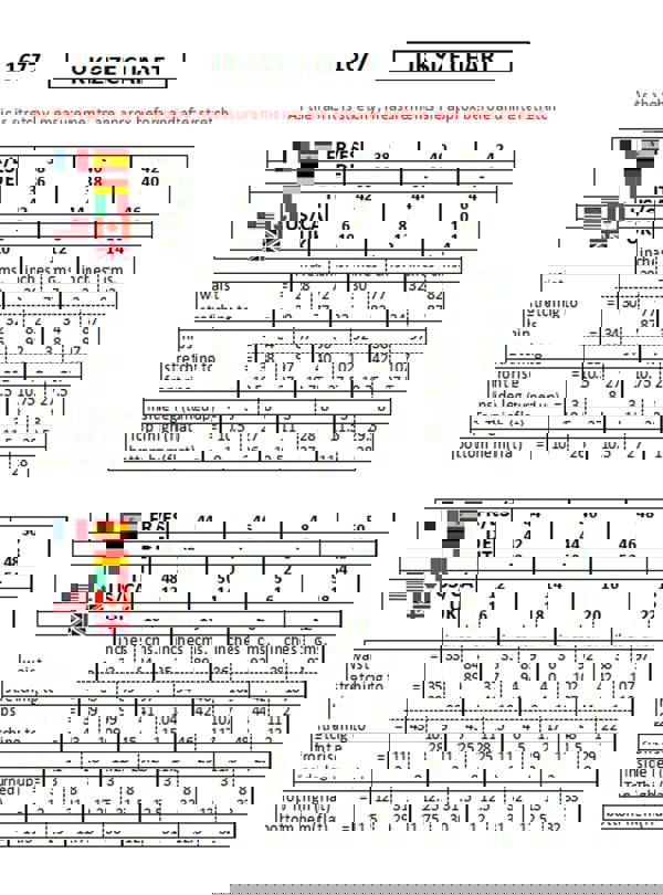 Paulo Due Women's Casual Turn Up Slim Fit Shorts