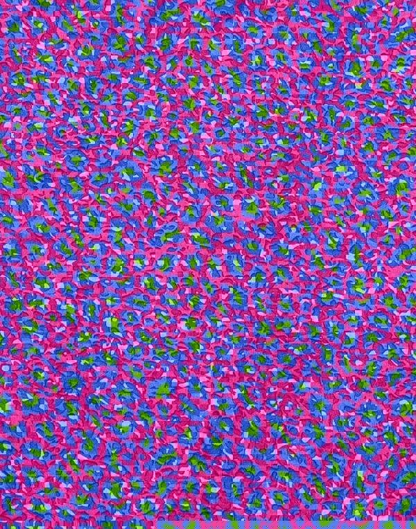 British Boxers Multipack 4 Pairs of Women's Bamboo Full Briefs – Wild Cat