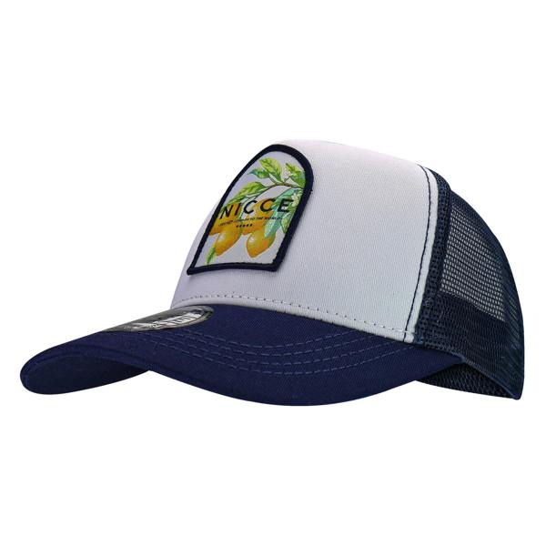 t4option1_1