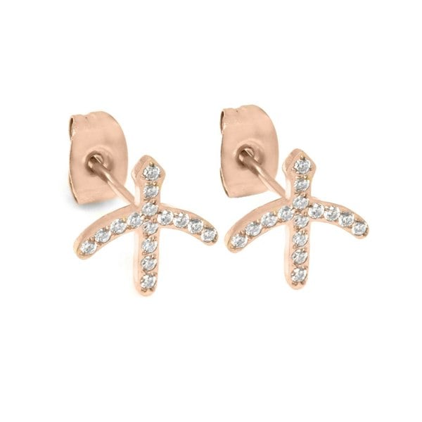 Say It With Sagittarius Earrings with CZ Stones - Rose Gold Plated