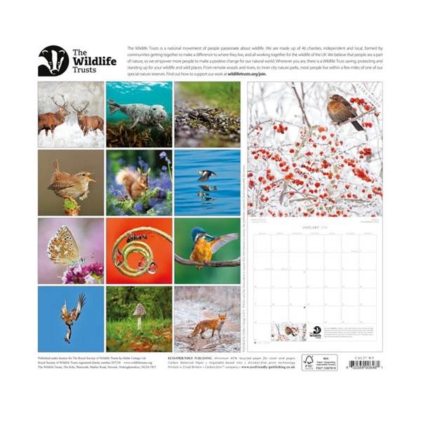 The Wildlife Trusts Calendar 2027, Wall Calendars, Month To View, Animals, Gift
