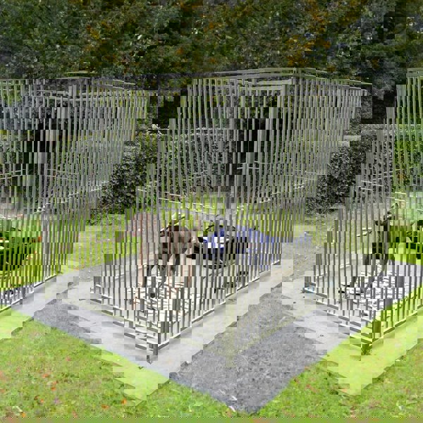 Monstershop 2m Dog Run Panel – 8cm Bar Spacing