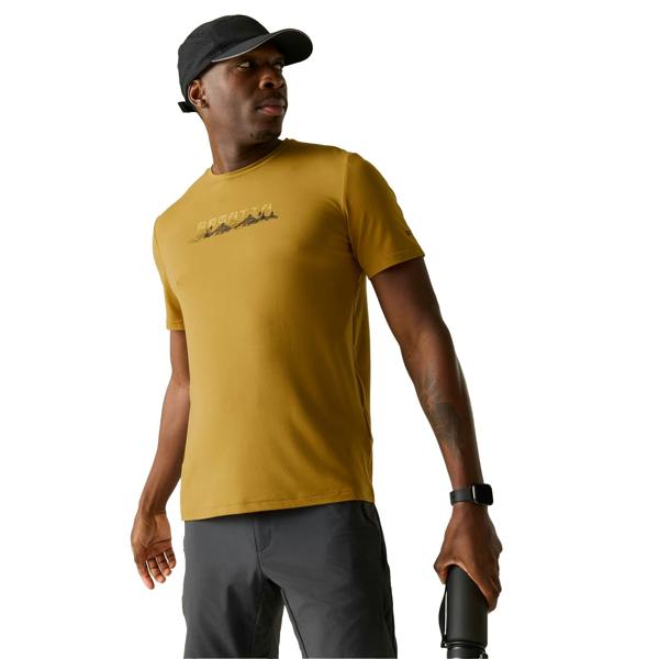 Regatta Mens Fingal Mountain T-Shirt - Wood Brown - 