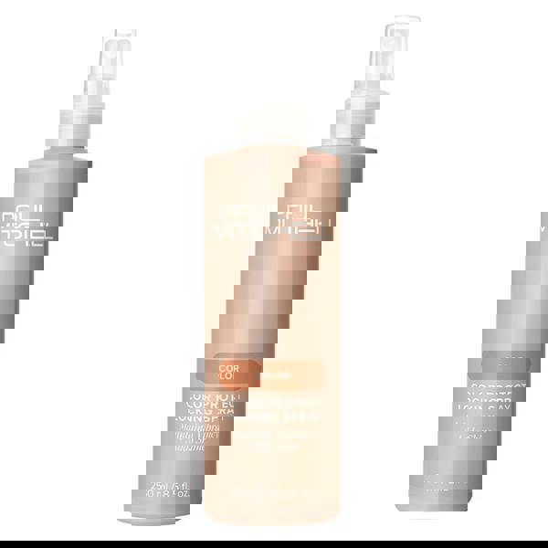 Paul Mitchell Color Protect Locking Spray 250 ml