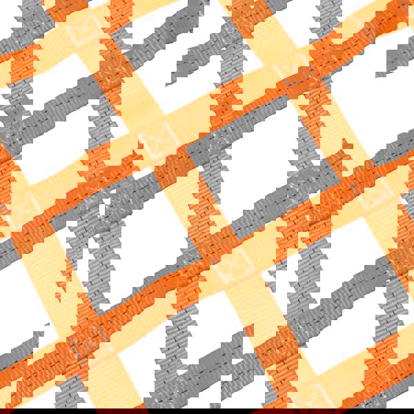 Polyester Webbing Cargo Net 1M² - 4M² (Hoisting Sling Loading Safety)