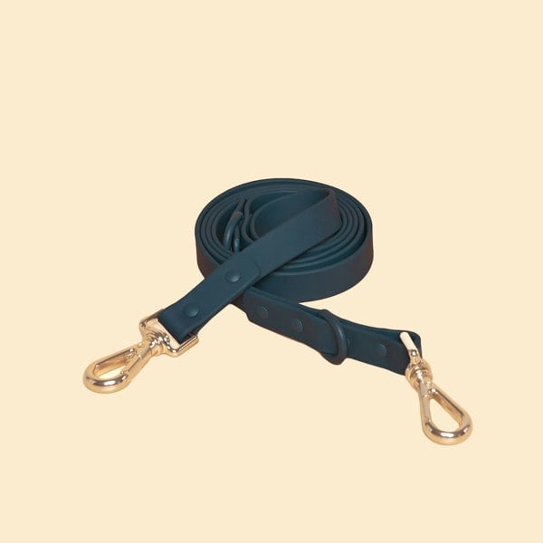 Westley Double Clip Dog Lead