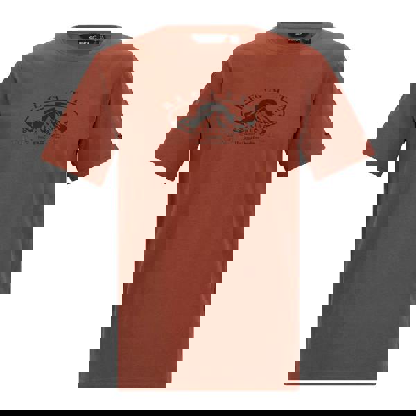 Regatta Mens Cline IX Mountain T-Shirt - Brick Red