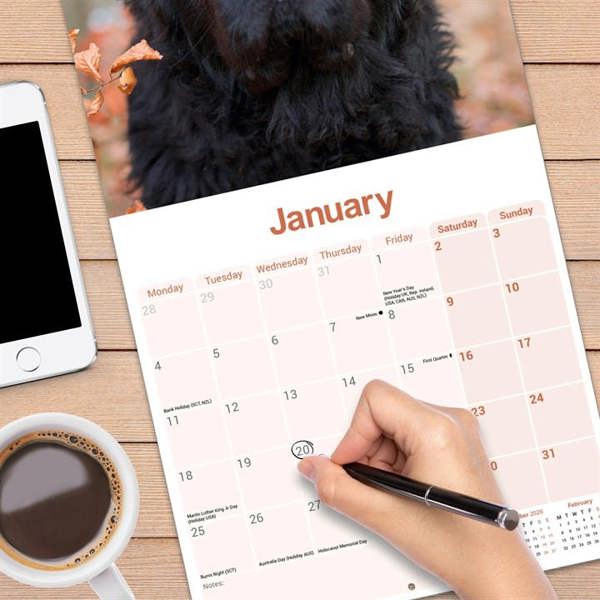 Newfoundland Calendar 2027, Wall Calendars, Month To View, Dogs, Gift