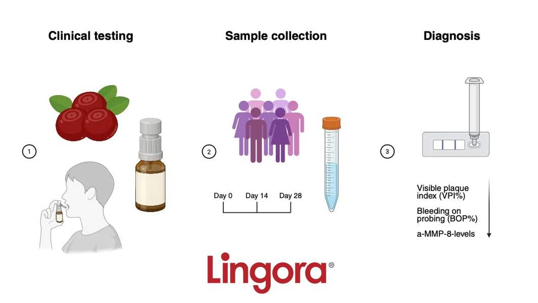 Lingora® Natural Oral Spray, Dry-Mouth Relief, Plaque Control, Healthier Gums, Vegan, 15 ml atomiser Spray