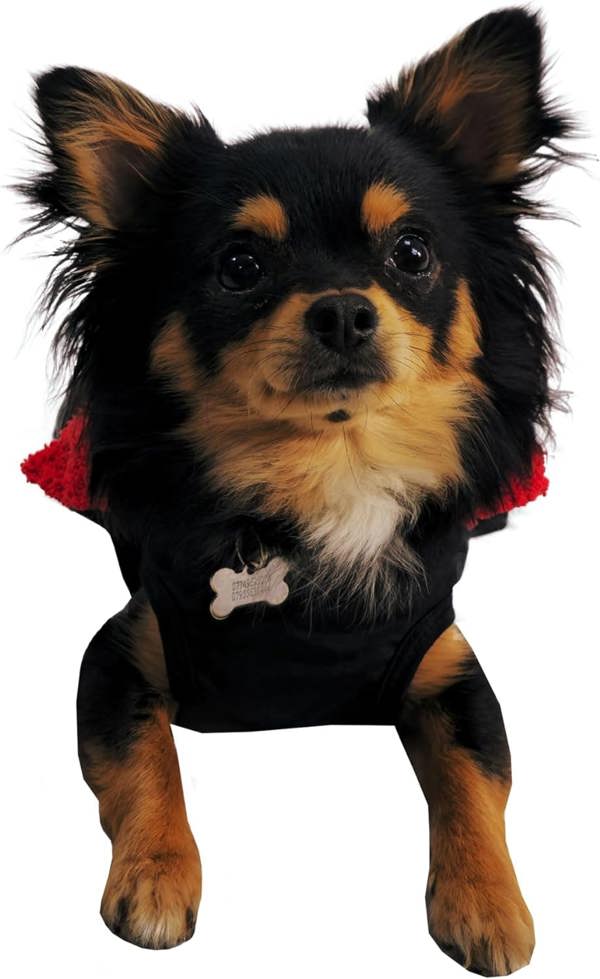 Waterproof Dog Jacket – Fleece-Lined, Reflective, Adjustable Fit - Optimum