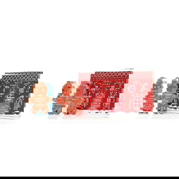 Spongellé Sugar & Spice Body Wash Buffer 1 ea