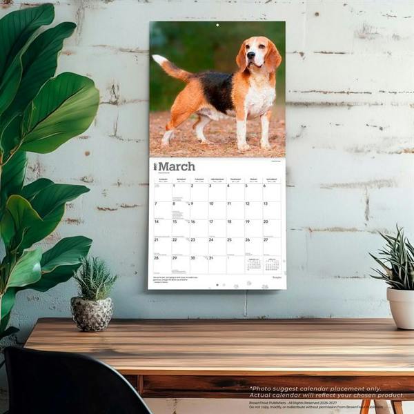Beagles Calendar 2027, Wall Calendars, Month To View, Dogs, Gift