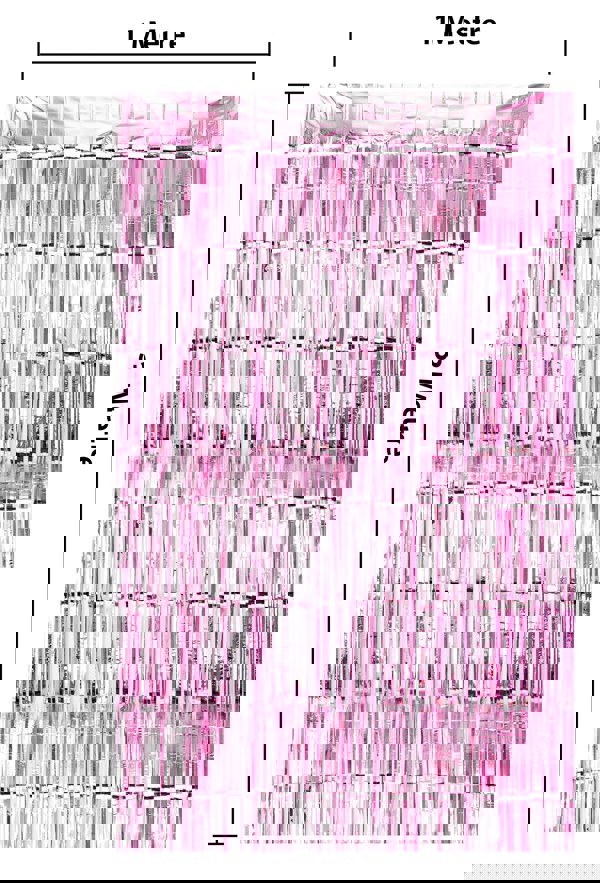 Cheetah Shimmer Tinsel Curtain, 3M x 1M Pink