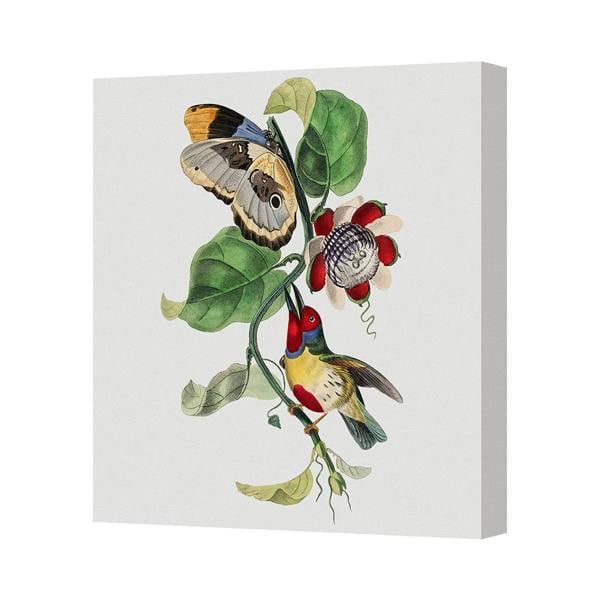Benjamin Tate Design Contemporary Botanical Canvas Art Print With Hummingbird And Butterfly
