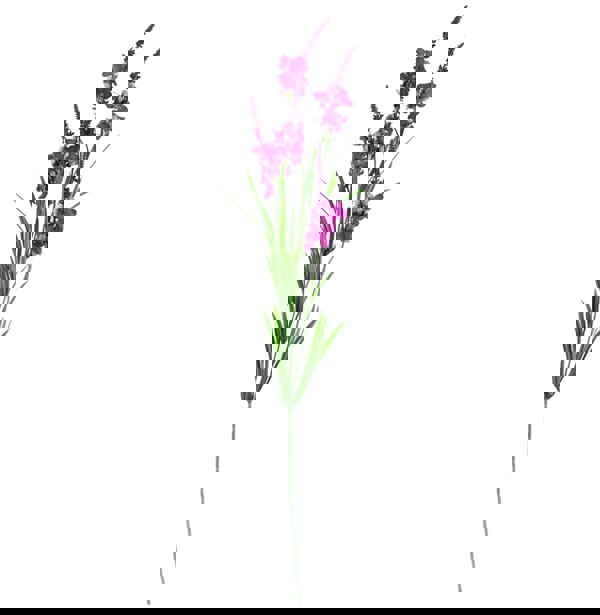 Leaf 100cm Pink Blossom White Rose Arrangement Glass Vase