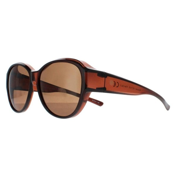 Smarty Sunglasses X2115 B Transparent Brown EF Brown