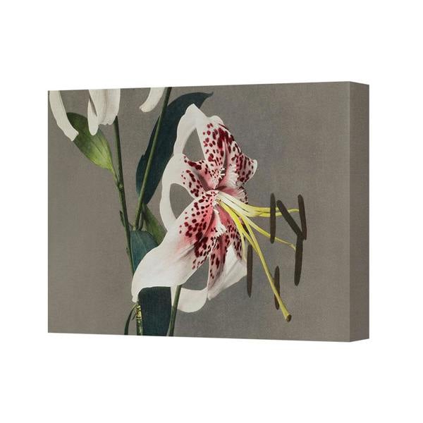 Benjamin Tate Design White Lily Canvas Wall Art Print Floral Decor For Living Room