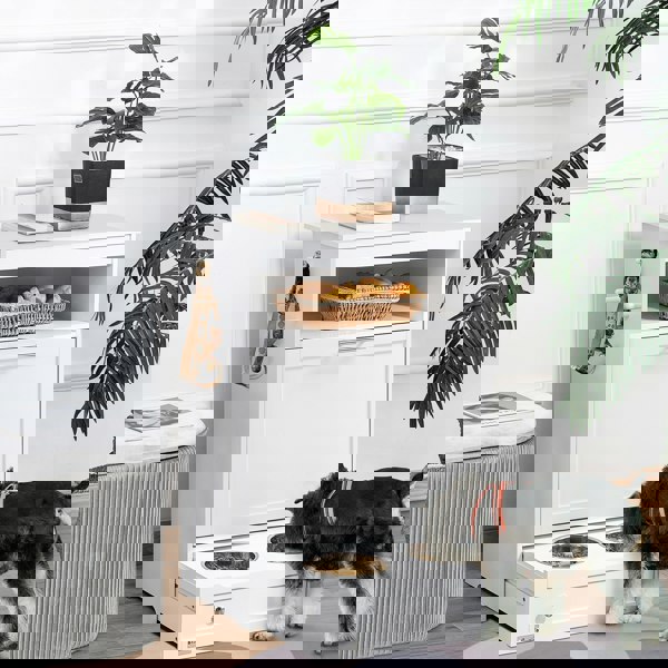 D08-028