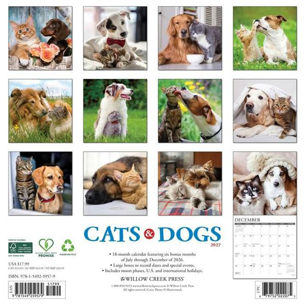 Cats & Dogs Calendar 2027, Wall Calendars, Month To View, Cats, Gift