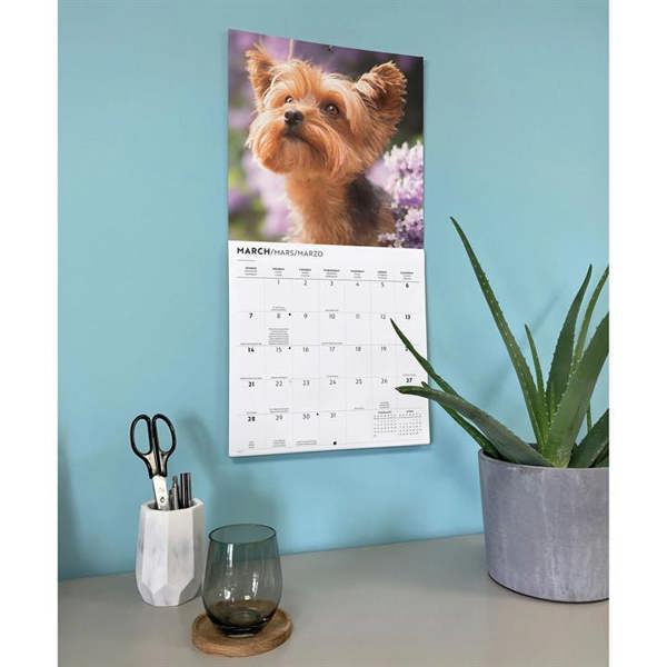 Yorkshire Terriers Calendar 2027, Wall Calendars, Month To View, Dogs, Gift