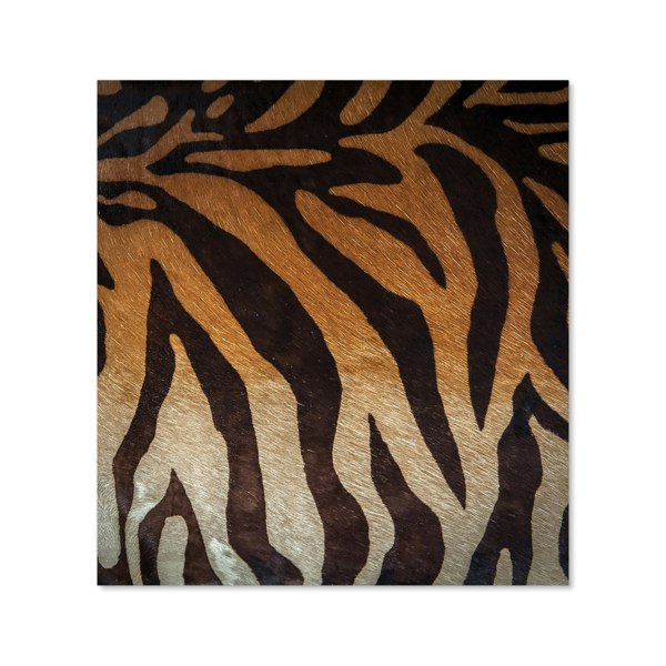 Warren Reed - Designer Tiger Skin Print Kitchen Splashback