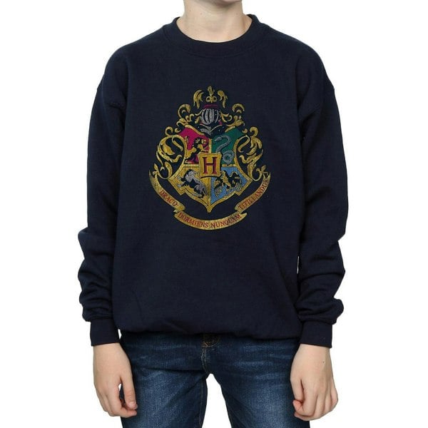 Harry Potter Boys Hogwarts Houses Cotton Sweatshirt - Navy Blue