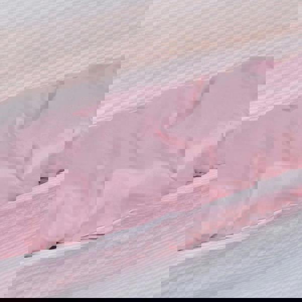 Smart Living Luxury Hotel Quality Reversible Ribbed Velvet Duvet Cover with Pillowcases - Blush