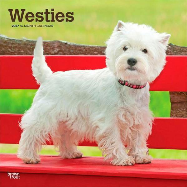 Westies Calendar 2027, Wall Calendars, Month To View, Dogs, Gift