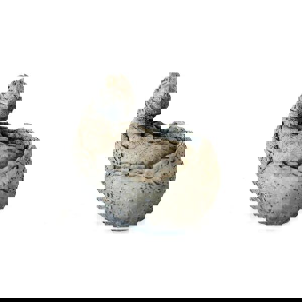 Small Brontosaurus Stone Cast Garden Sculpture Dinosaur Animal Statue